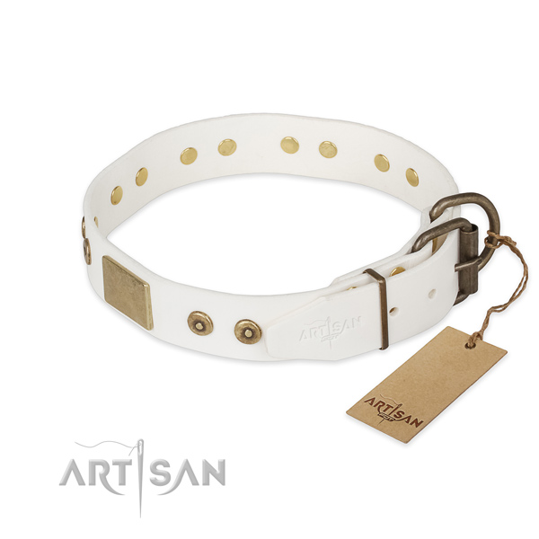 Everyday walking natural genuine leather collar with studs for your pet