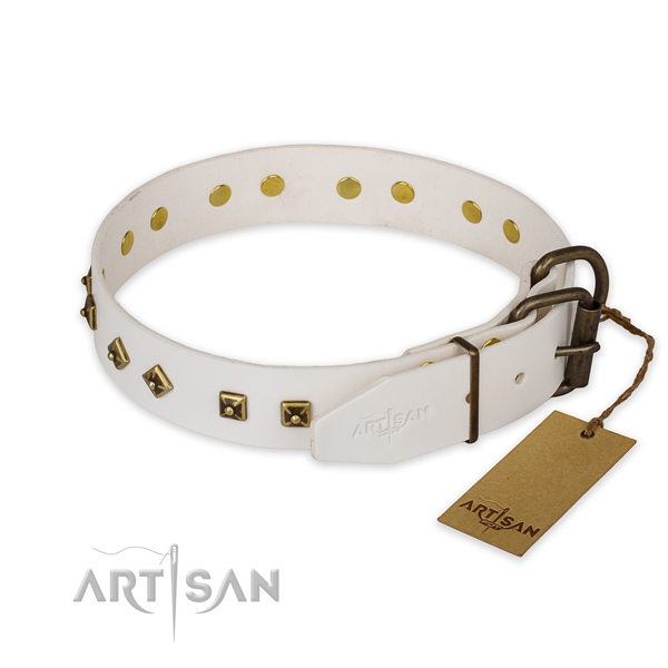 Daily walking full grain genuine leather collar with embellishments for your canine