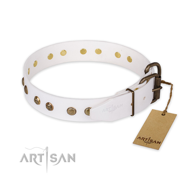 Walking genuine leather collar with embellishments for your four-legged friend