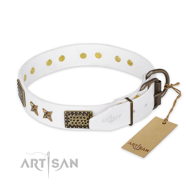 Daily walking leather collar with embellishments for your dog