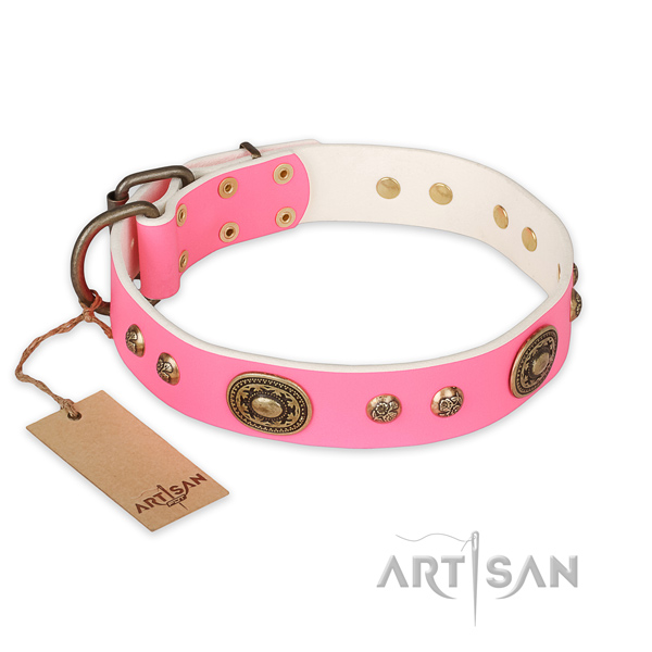 Daily walking natural genuine leather collar with embellishments for your doggie