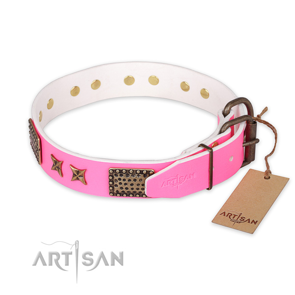 Stylish walking full grain natural leather collar with adornments for your doggie