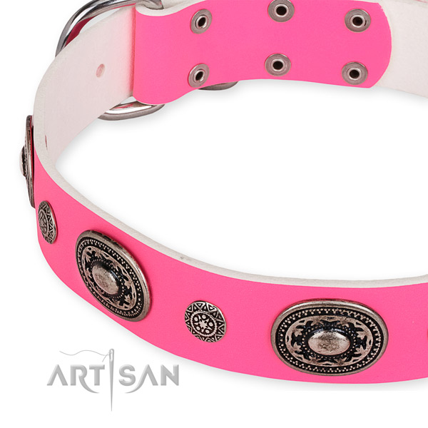 Easy to adjust leather dog collar with extra strong rust-proof fittings
