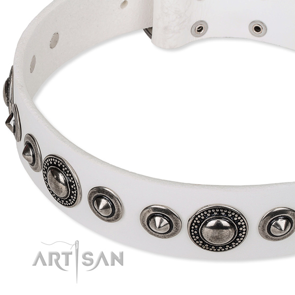 Easy to adjust leather dog collar with resistant durable set of hardware