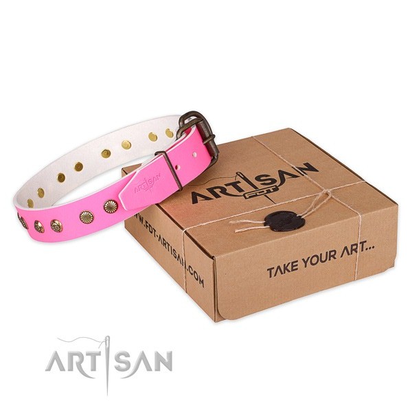 Trendy natural genuine leather dog collar for stylish walks