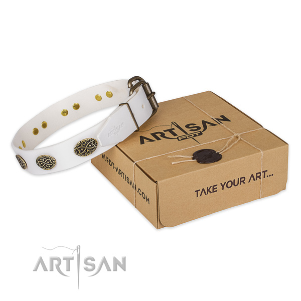 Best quality full grain natural leather dog collar for stylish walking