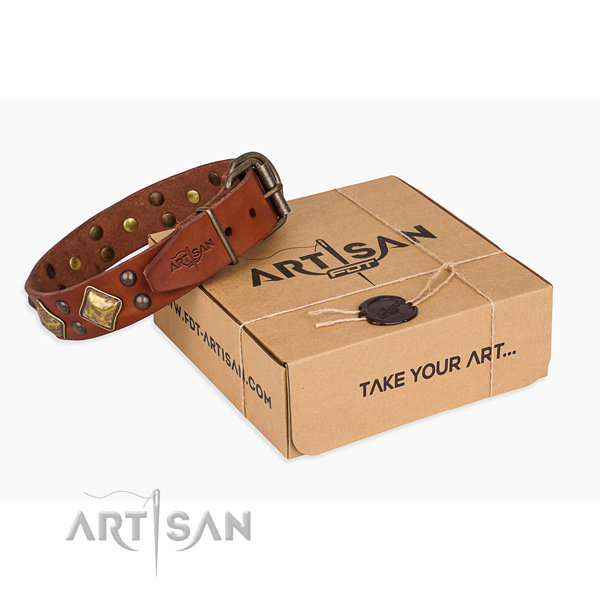 Impressive genuine leather dog collar for stylish walks