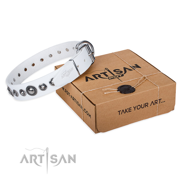 Impressive leather dog collar for walking in style