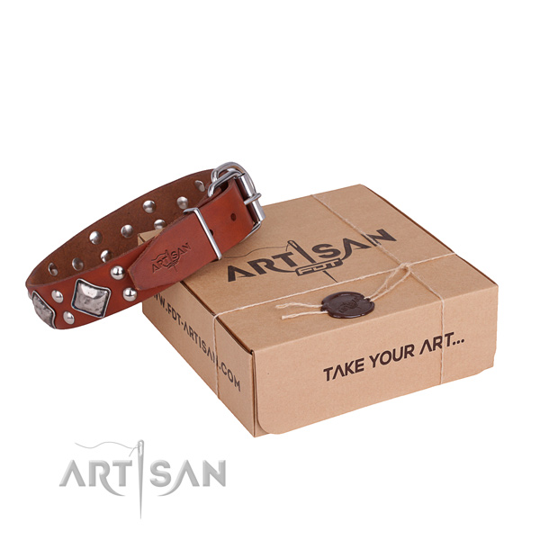 Awesome leather dog collar for stylish walking