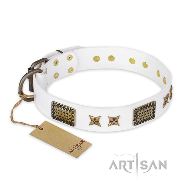 Exquisite design adornments on leather dog collar