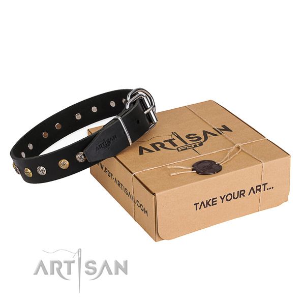 Incredible leather dog collar for walking
