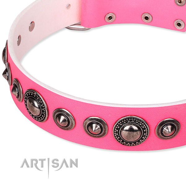 Quick to fasten leather dog collar with resistant to tear and wear durable set of hardware