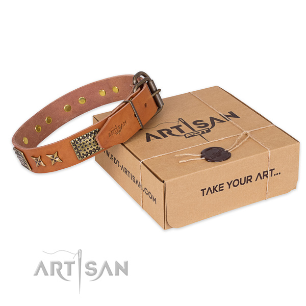 Designer full grain genuine leather dog collar for daily walking