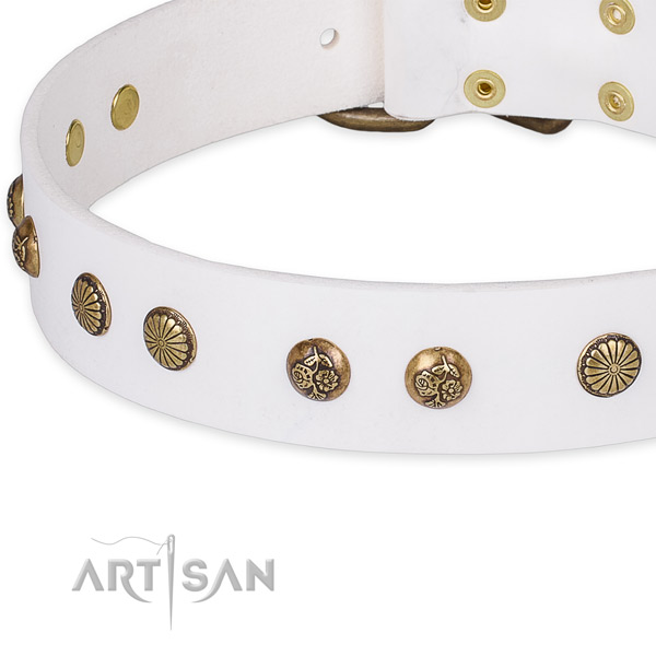 Snugly fitted leather dog collar with extra sturdy brass plated fittings