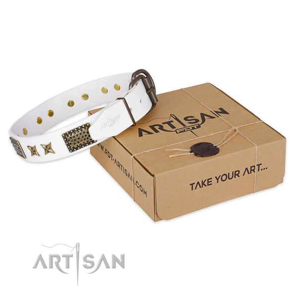 Stylish full grain natural leather dog collar for everyday walking