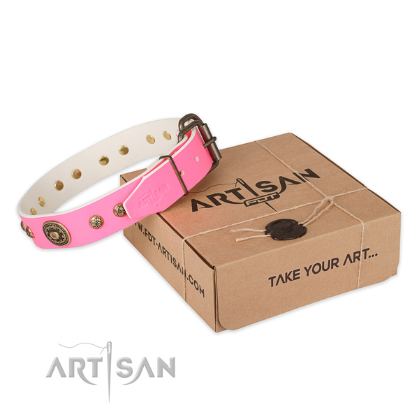 Stylish leather dog collar for walking