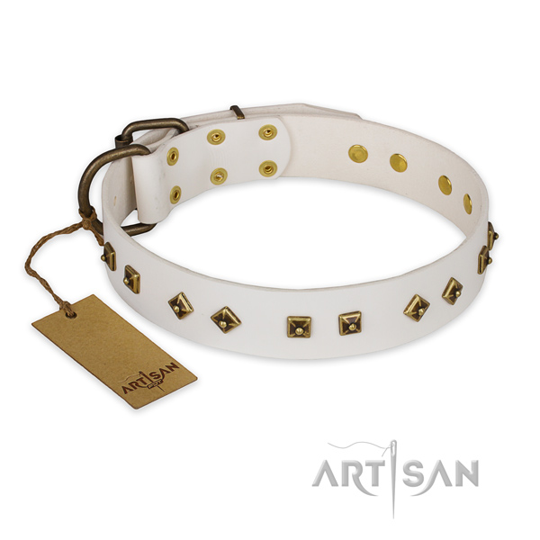 Exceptional design studs on full grain genuine leather dog collar