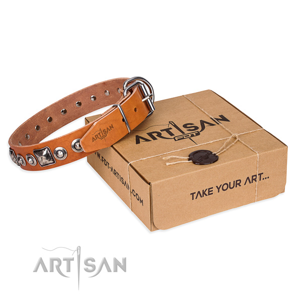 Trendy full grain natural leather dog collar for stylish walking