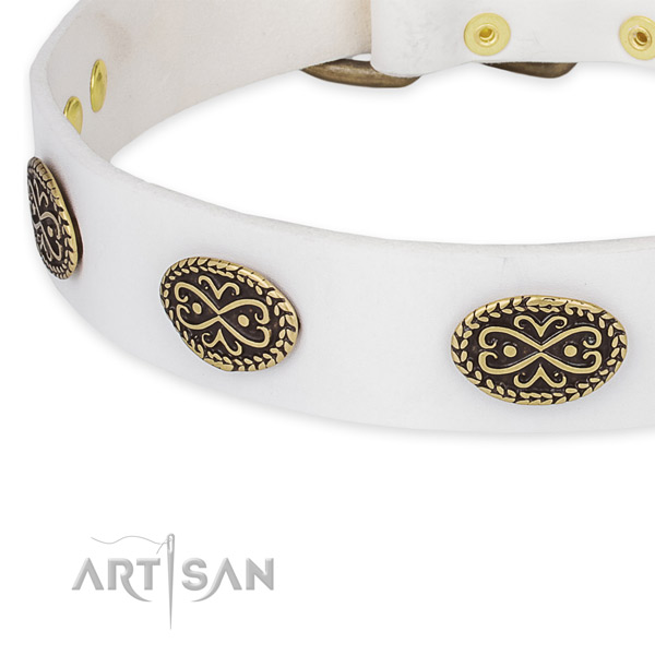 Everyday use full grain natural leather collar with rust-proof buckle and D-ring