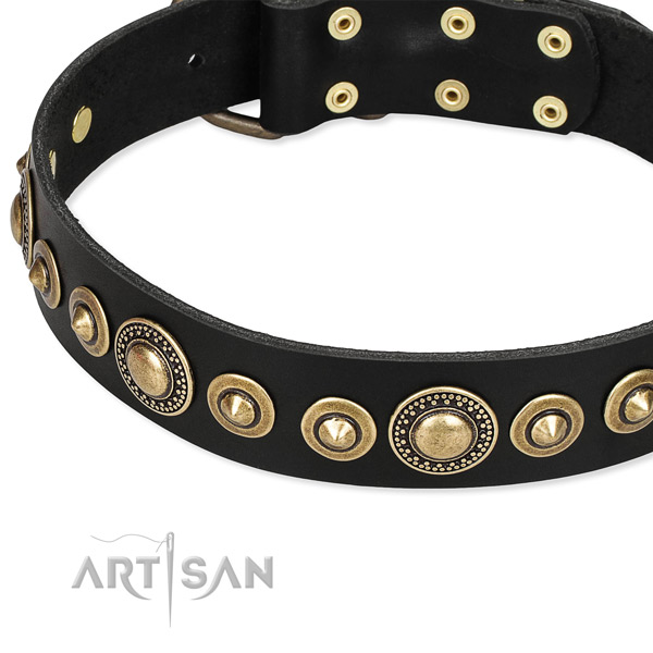 Easy to use leather dog collar with resistant to tear and wear rust-proof set of hardware