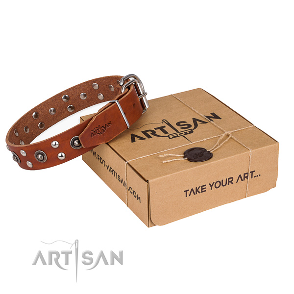 Stylish genuine leather dog collar for daily walking
