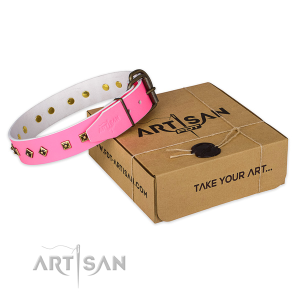 Top quality leather dog collar for everyday use