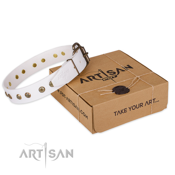 Best quality full grain leather dog collar for daily use