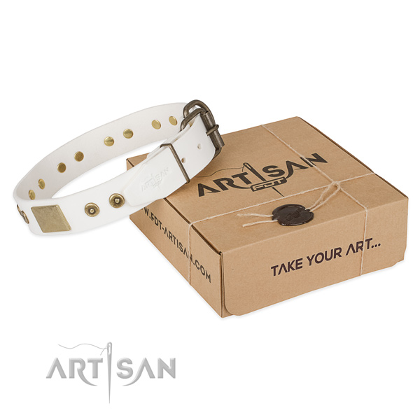 Perfect fit leather dog collar for walking