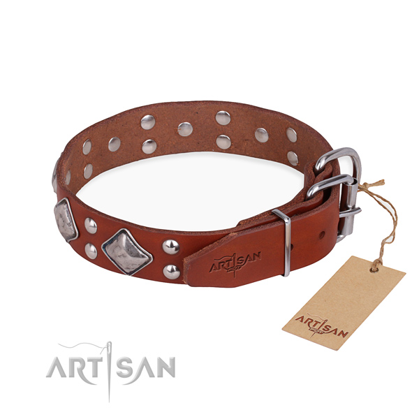 Functional leather collar for your handsome canine