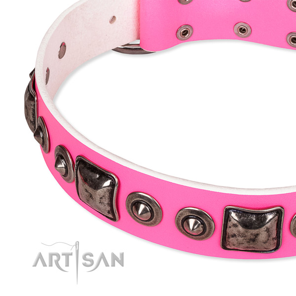 Snugly fitted leather dog collar with extra strong non-rusting buckle
