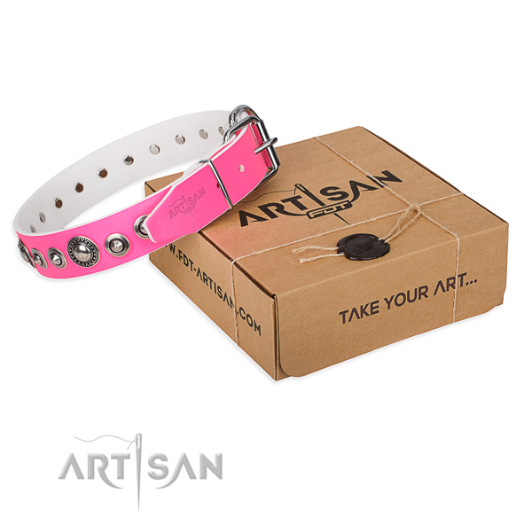 Awesome full grain leather dog collar for daily walking