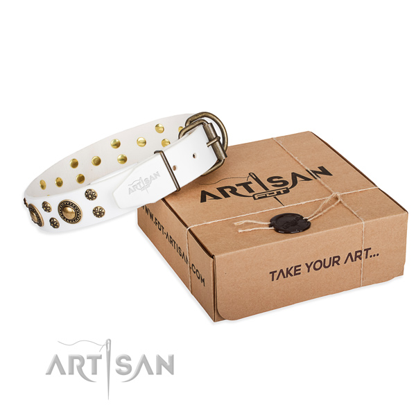 Daily leather dog collar with sensational studs