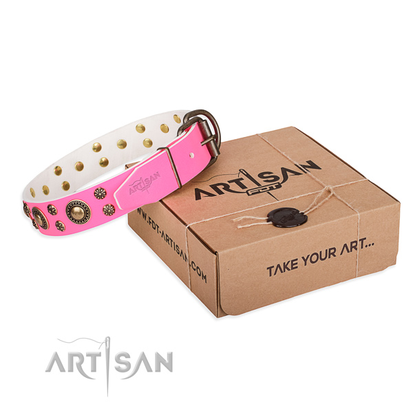Day-to-day leather dog collar with luxurious studs