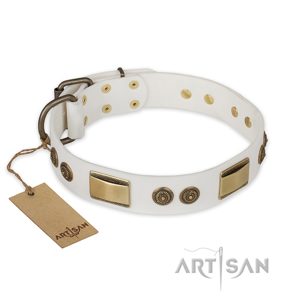 Unusual design studs on full grain genuine leather dog collar