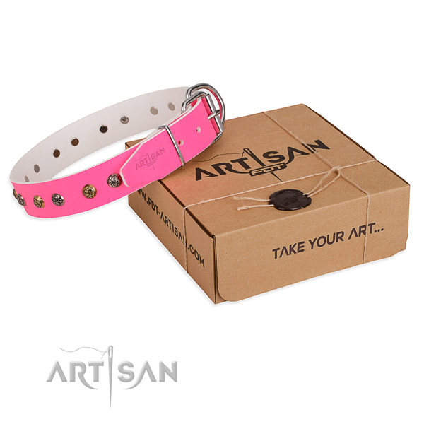Incredible full grain natural leather dog collar for walking in style
