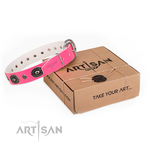 Designer full grain natural leather dog collar for walking in style