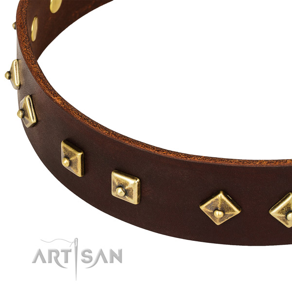 Handy use full grain genuine leather collar with rust resistant buckle and D-ring