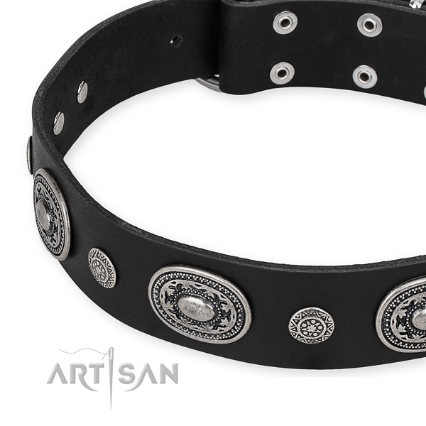 Easy to put on/off leather dog collar with resistant rust-proof hardware