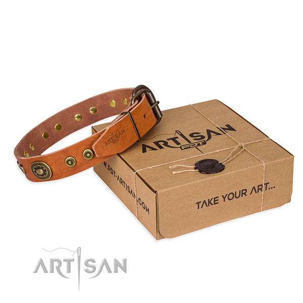 Best quality full grain leather dog collar for stylish walks