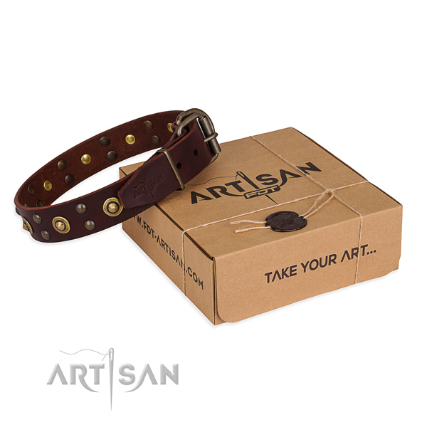 Fashionable leather dog collar for everyday walking