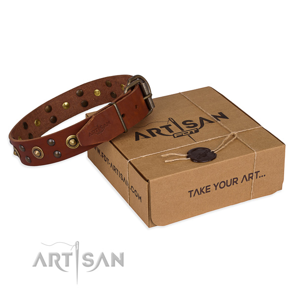 Top quality full grain leather dog collar for stylish walks
