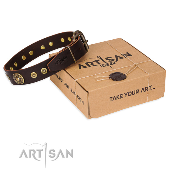 Trendy full grain leather dog collar for stylish walking
