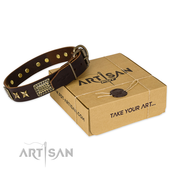 Stylish design full grain leather dog collar for everyday walking