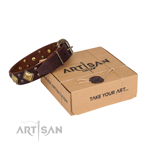 Fine quality full grain natural leather dog collar for everyday walking