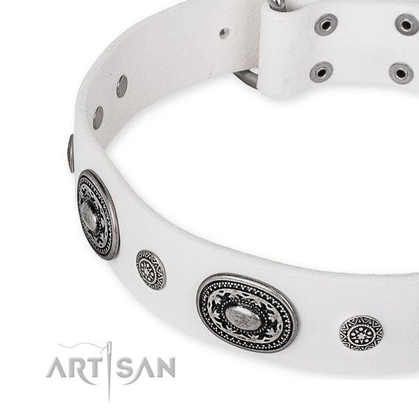 Easy to adjust leather dog collar with extra strong durable hardware