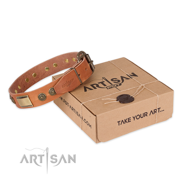 Designer full grain leather dog collar for walking in style