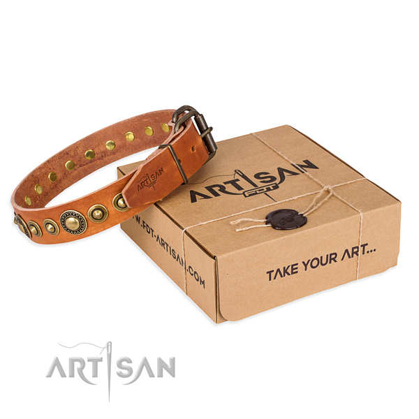 Incredible leather dog collar for stylish walks