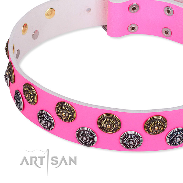 Easy to adjust leather dog collar with extra sturdy durable fittings