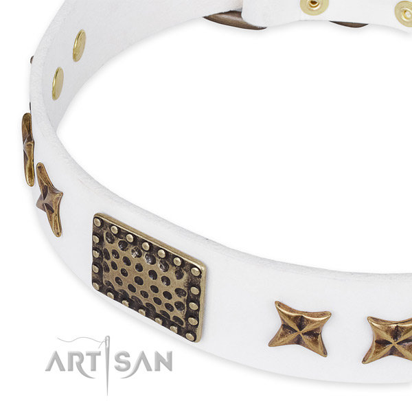 Adjustable leather dog collar with extra sturdy durable set of hardware