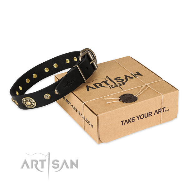 Fashionable full grain genuine leather dog collar for stylish walking
